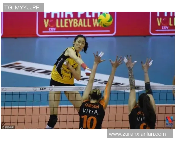 深度对话杨敏探讨排球人生与欧冠足球的精彩交融与启示