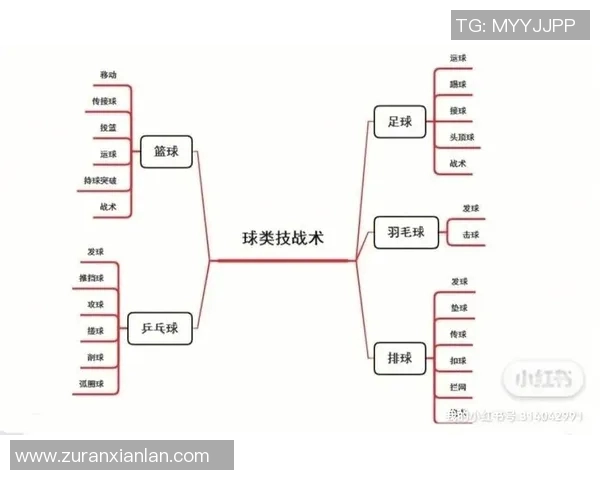 体育实时数据北京足球队战术解析与控制体系的深度剖析与应用探讨
