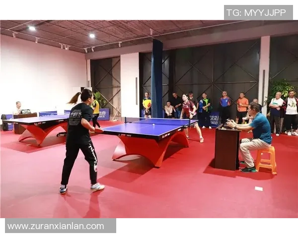 运动数据乒乓球的奋斗与荣耀北京乒乓球队成长历程全景纪实 运动数据乒乓球的奋斗与荣耀北京乒乓球队成长历程全景纪实